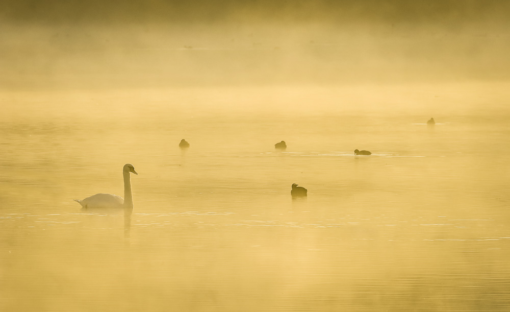 8. Platz Hans Kerler